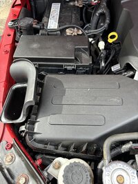 IMG_0479.jpeg