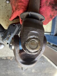 IMG_0359.jpeg