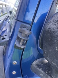 IMG_7803.jpeg