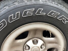 IMG_0195.jpeg