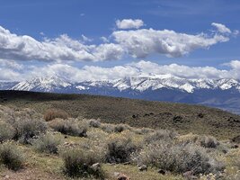 IMG_5603.jpeg