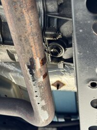 IMG_3010.jpeg