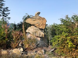 IMG_8590.jpeg