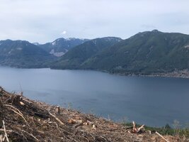 IMG_8919.jpeg