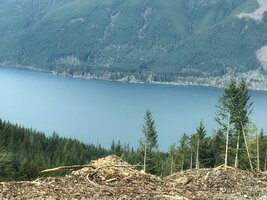 IMG_8916.jpeg