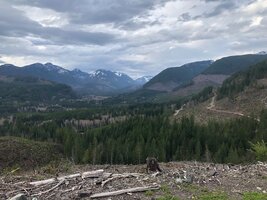 IMG_8906.jpeg