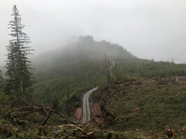 IMG_8895.jpeg