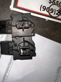 IMG_9587.JPG
