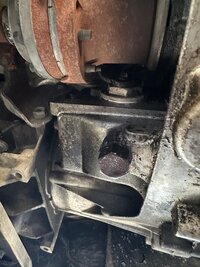 IMG_0427.jpeg
