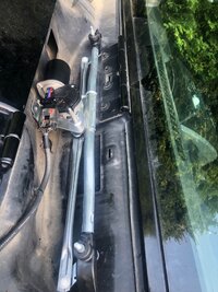 IMG_8952.jpeg