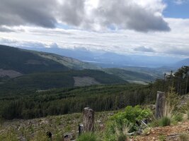IMG_9007.jpeg