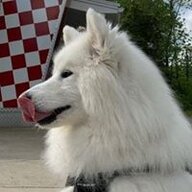 whitetigerric