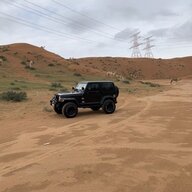 Flivver250