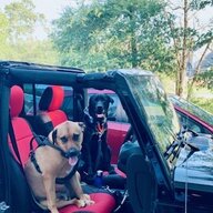 DogsandDirtTrails