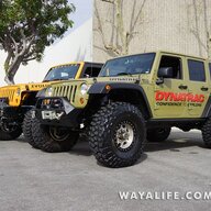 BrainyheadJKU