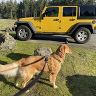jeepstersue