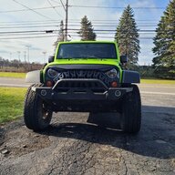 gecko123