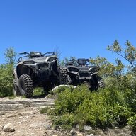 G288W
