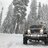 WanderingJeep